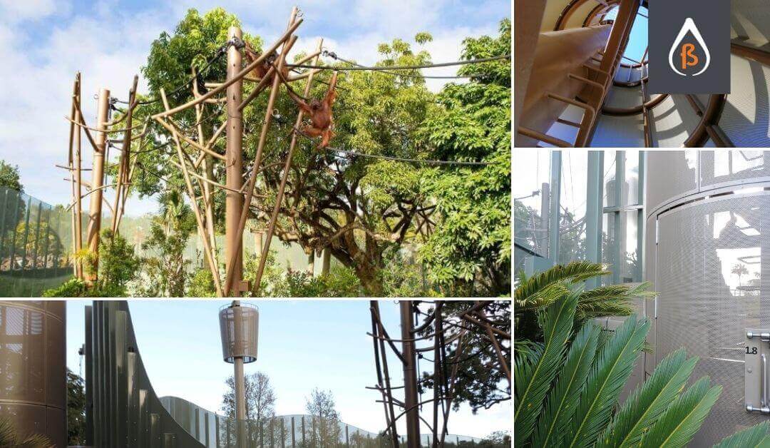 Orangutan Habitat at Auckland Zoo