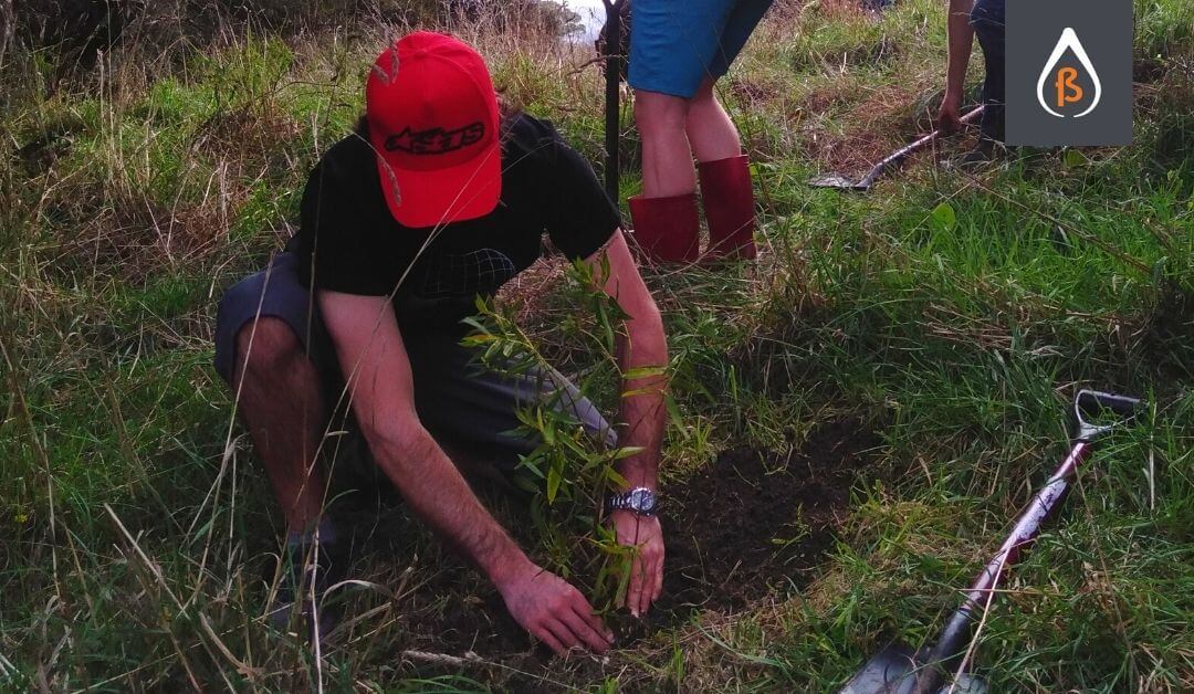 Sustainability Review & New Initiatives